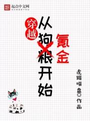 穿越从氪金开始